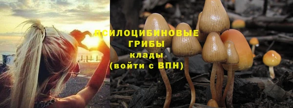 мдма Белокуриха