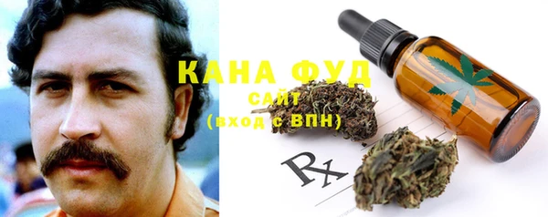 сатива Богородицк