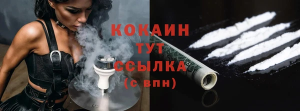 сатива Богородицк